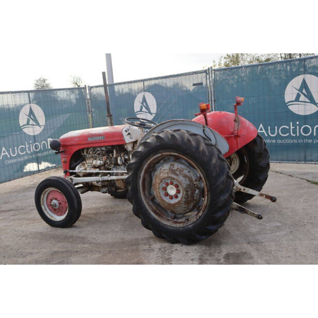 ماسي فيرغسون OTHERS-43940748