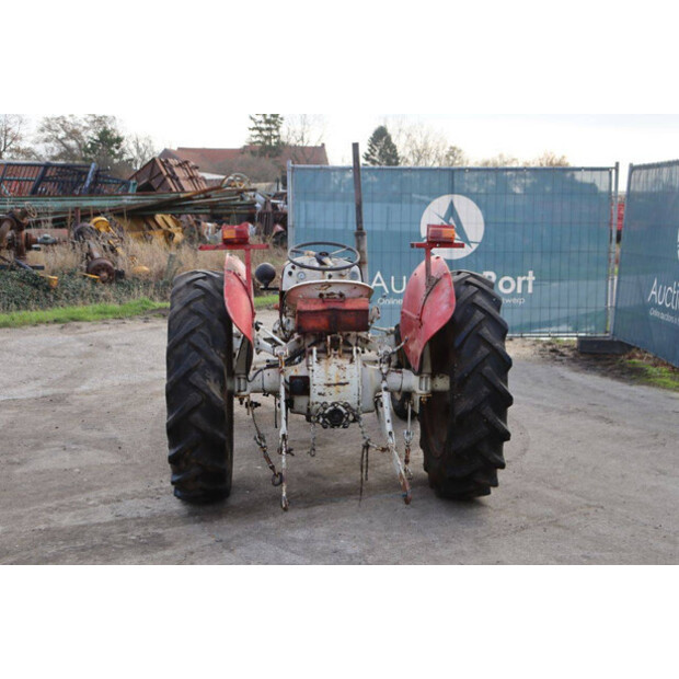 ماسي فيرغسون OTHERS-43940749