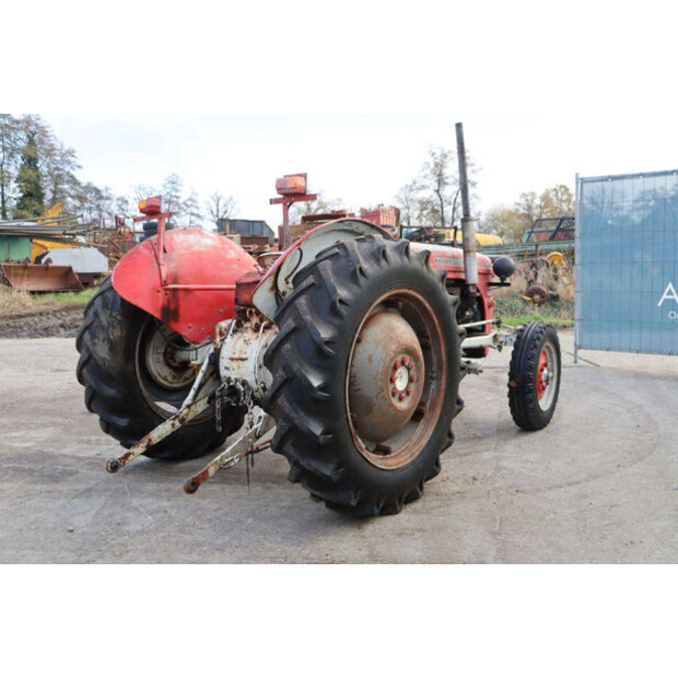 ماسي فيرغسون OTHERS-43940750