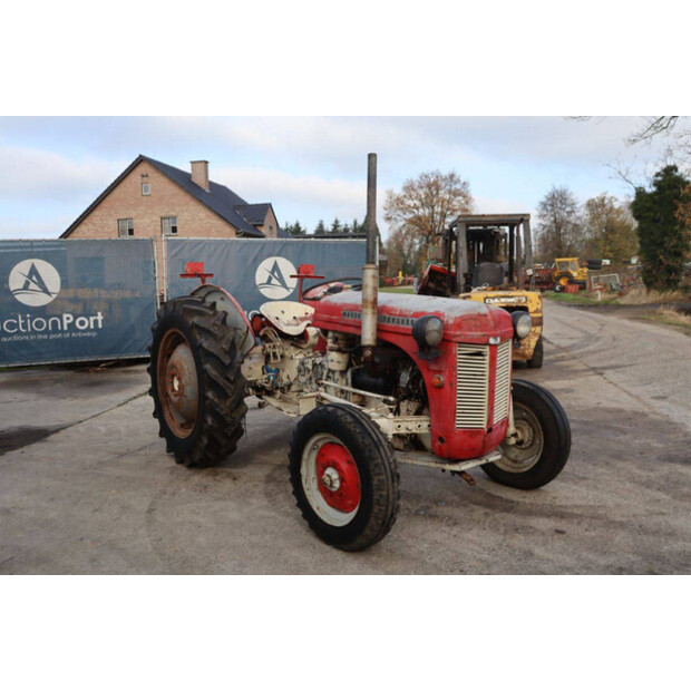 ماسي فيرغسون OTHERS-43940751