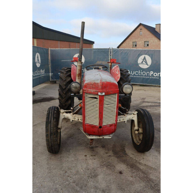 ماسي فيرغسون OTHERS-43940752