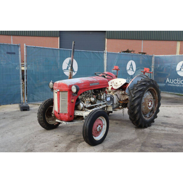 ماسي فيرغسون OTHERS-43940753