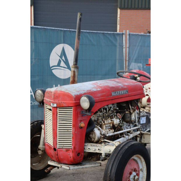 ماسي فيرغسون OTHERS-43940754