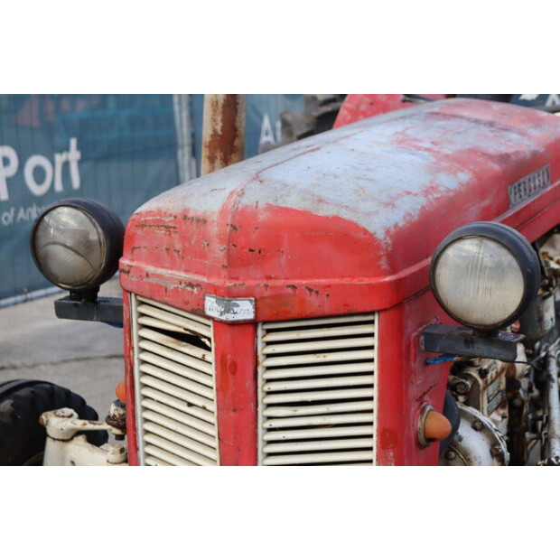 ماسي فيرغسون OTHERS-43940755