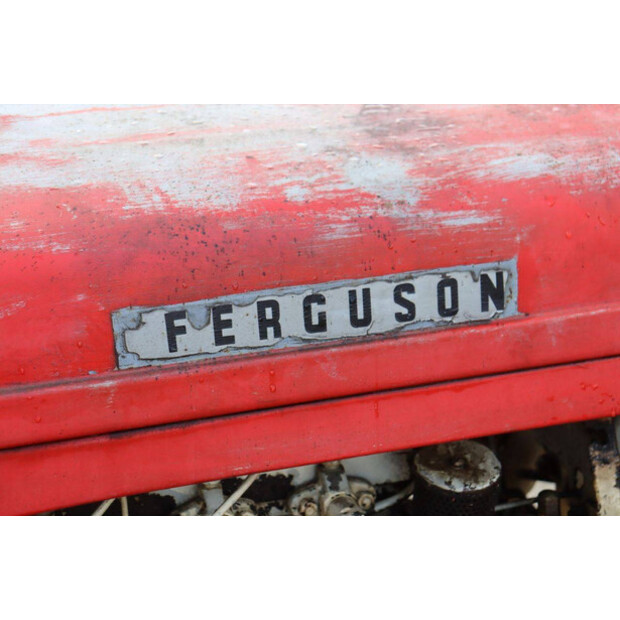 ماسي فيرغسون OTHERS-43940756