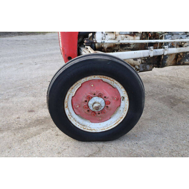 ماسي فيرغسون OTHERS-43940757