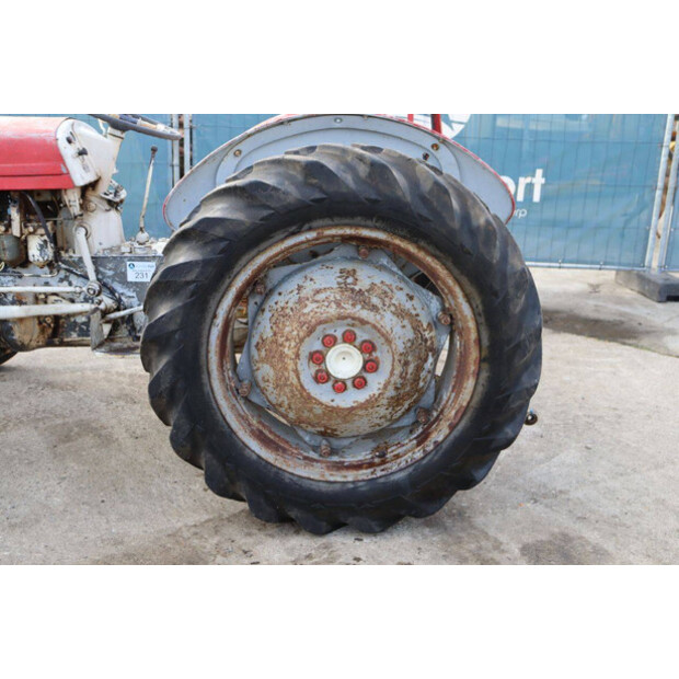 ماسي فيرغسون OTHERS-43940758