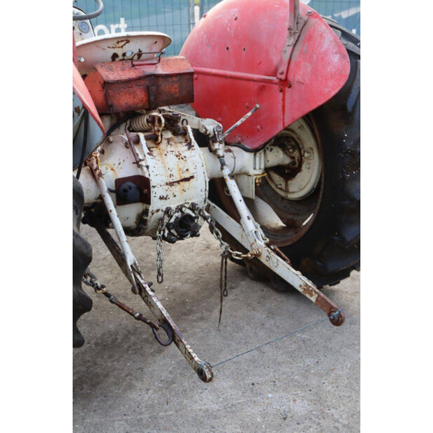 ماسي فيرغسون OTHERS-43940759