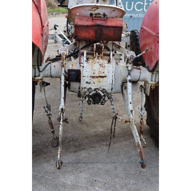 ماسي فيرغسون OTHERS-43940760