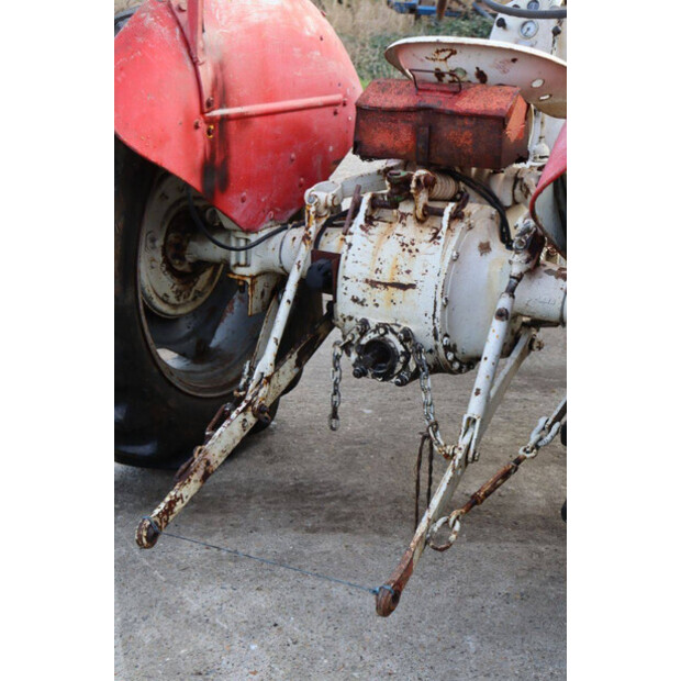 ماسي فيرغسون OTHERS-43940761