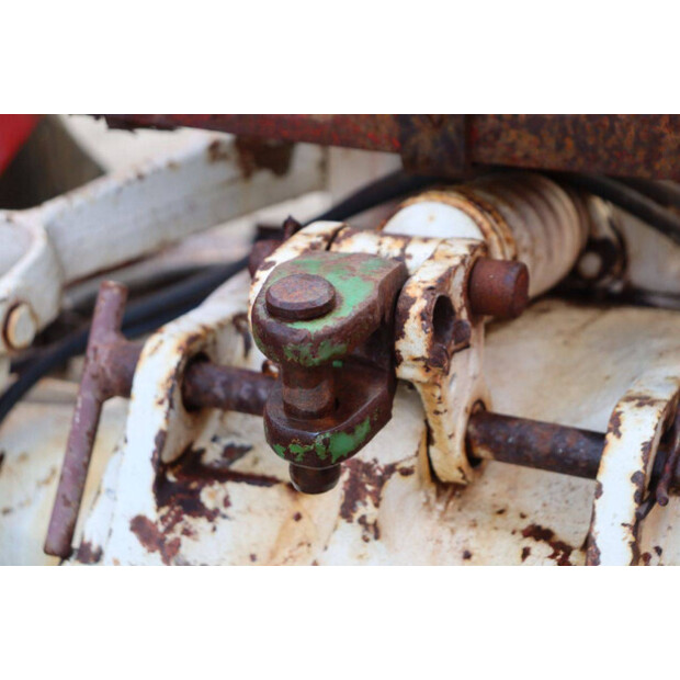 ماسي فيرغسون OTHERS-43940763