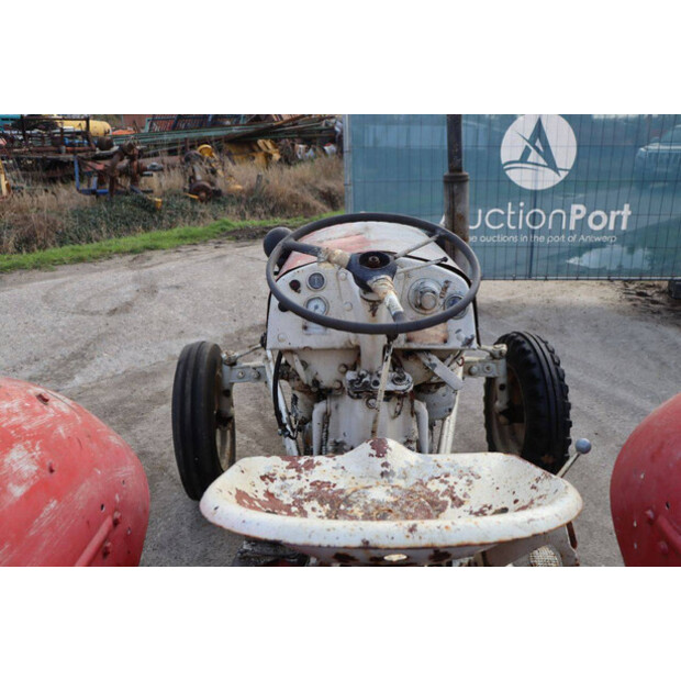 ماسي فيرغسون OTHERS-43940764