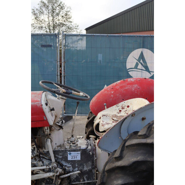 ماسي فيرغسون OTHERS-43940765