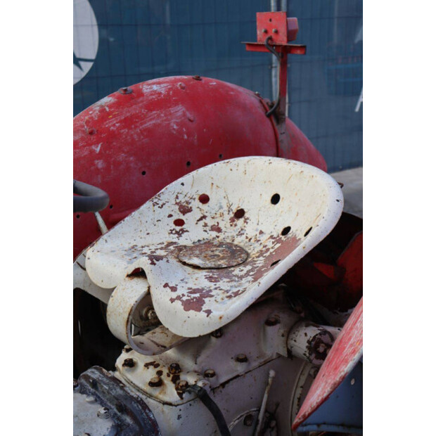 ماسي فيرغسون OTHERS-43940766