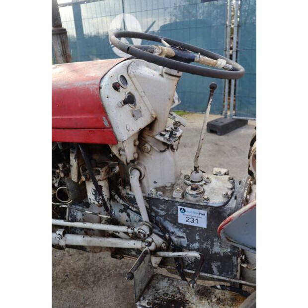 ماسي فيرغسون OTHERS-43940767