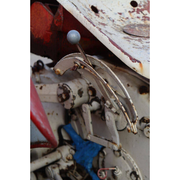 ماسي فيرغسون OTHERS-43940771