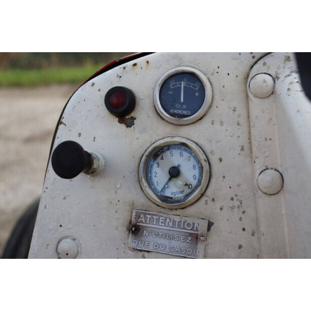 ماسي فيرغسون OTHERS-43940774