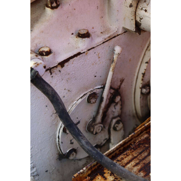 ماسي فيرغسون OTHERS-43940775