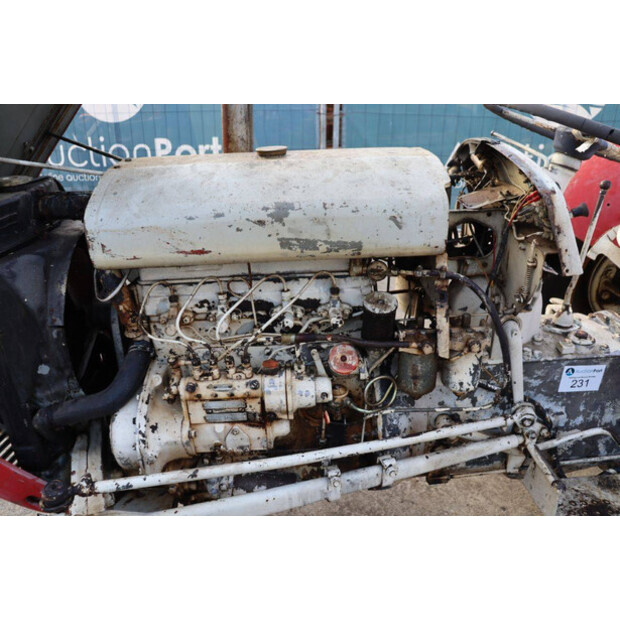 ماسي فيرغسون OTHERS-43940776