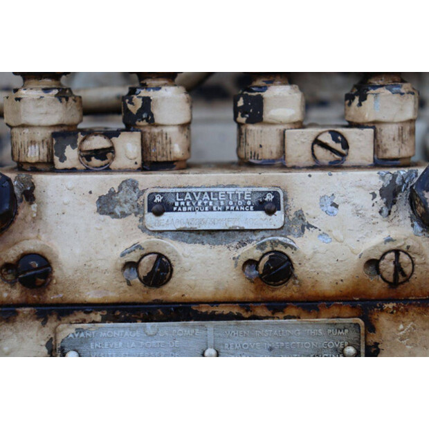 ماسي فيرغسون OTHERS-43940777