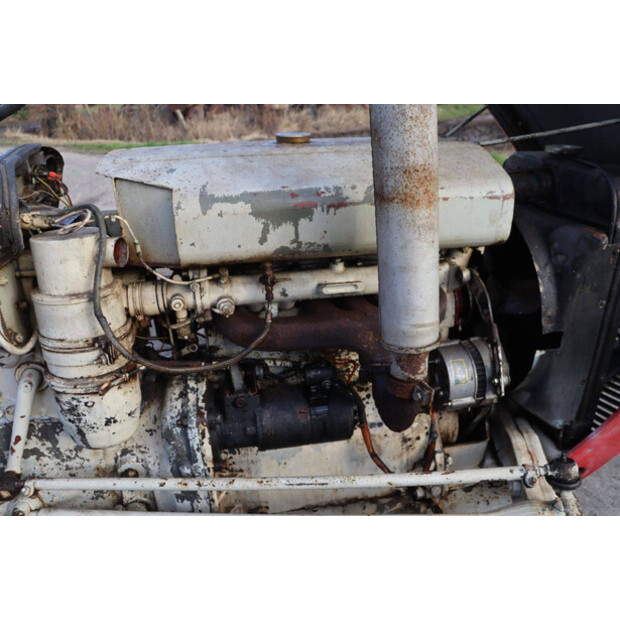 ماسي فيرغسون OTHERS-43940778