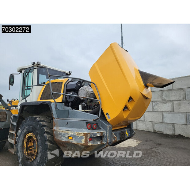 2017 ليبهير L556-43946181