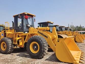 صورة ل شيولات 2023 ليوكونج 856