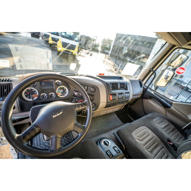 2013 DAF LF 55.250-44045356