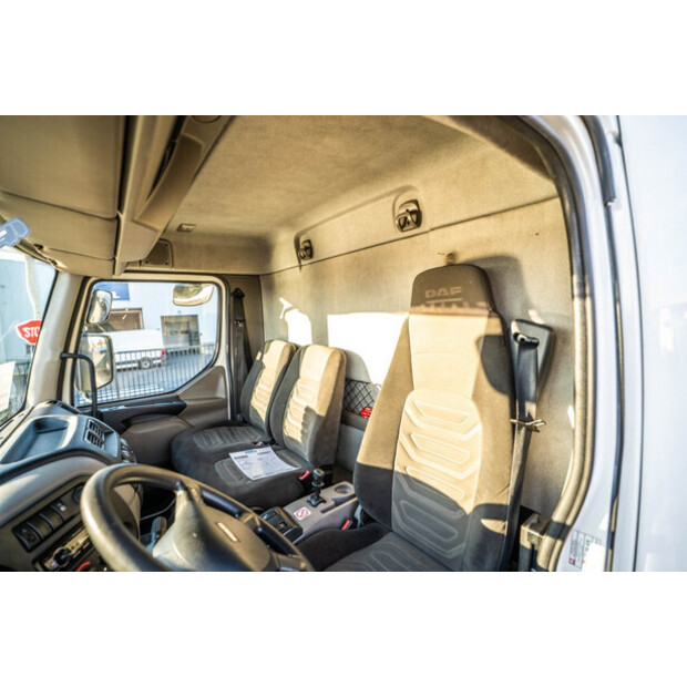 2013 DAF LF 55.250-44045360