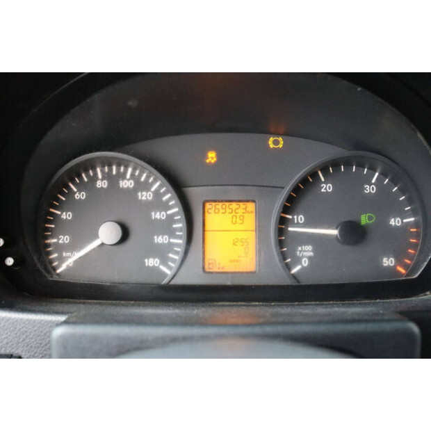 2010 Mercedes-Benz Sprinter 316CDI-44071006