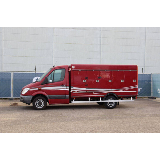 2010 مرسيدس بنز 313CDI-44071409