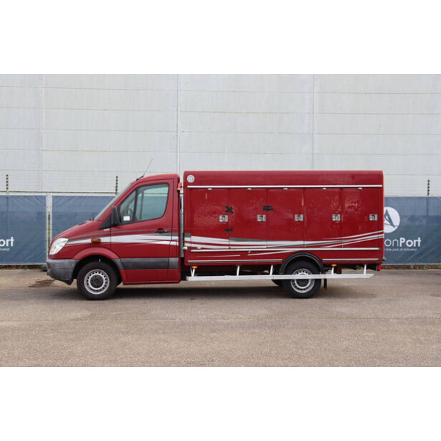 2010 مرسيدس بنز 313CDI-44071410