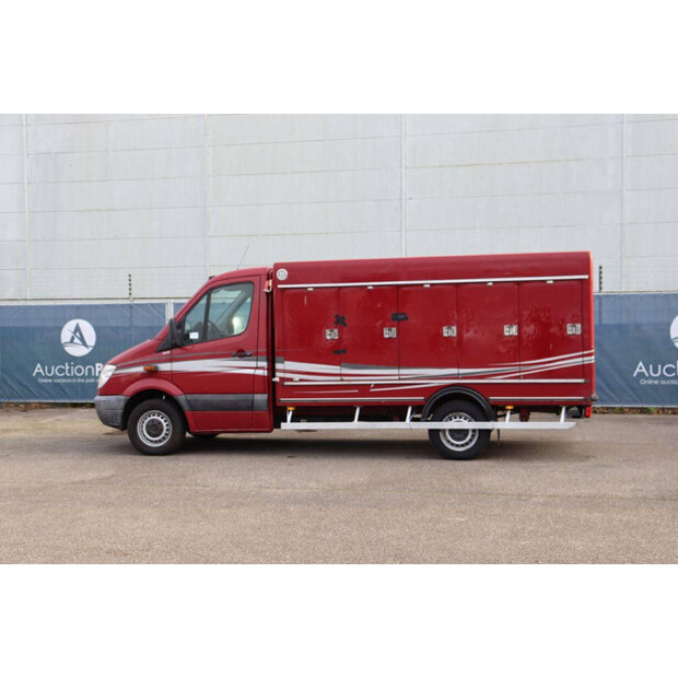 2010 مرسيدس بنز 313CDI-44071411