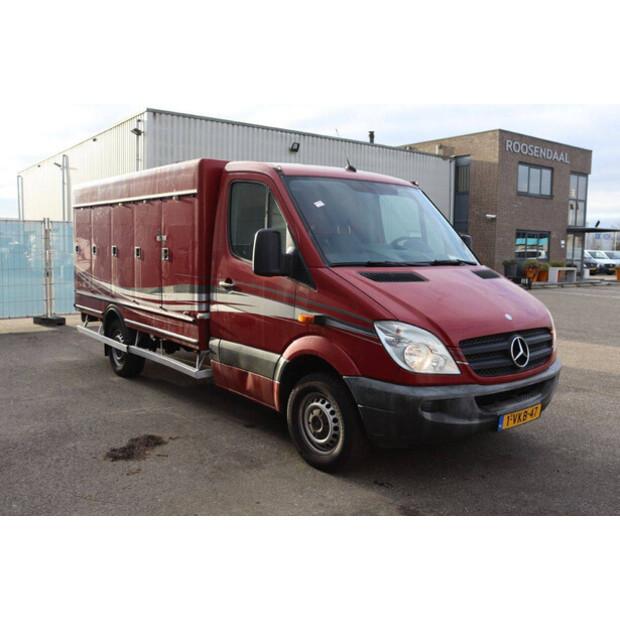 2010 مرسيدس بنز 313CDI-44071415