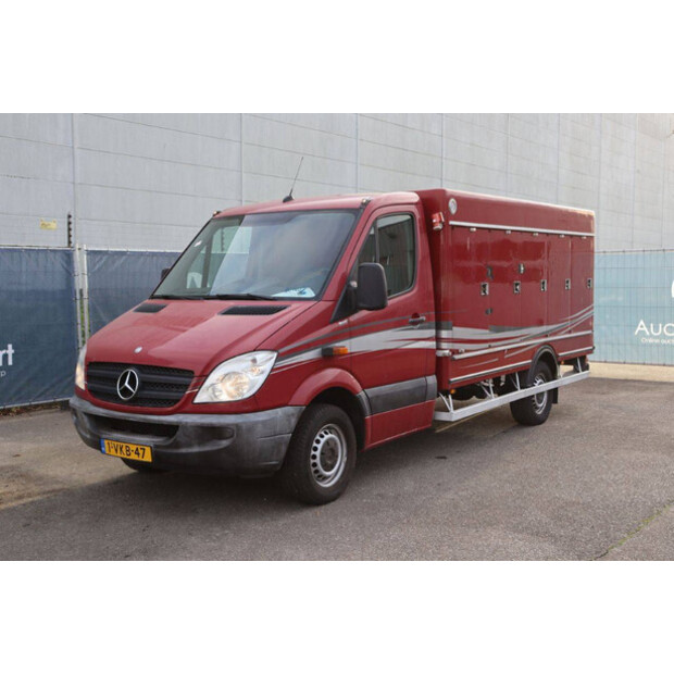 2010 مرسيدس بنز 313CDI-44071417