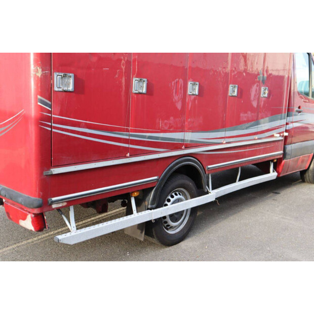 2010 مرسيدس بنز 313CDI-44071430