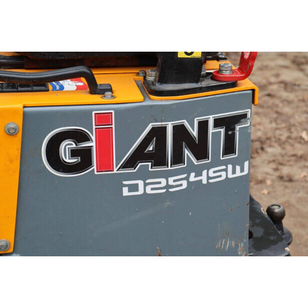 2019 GiANT D254SW-44147759