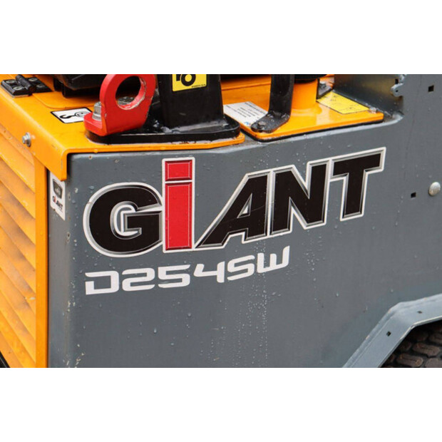 2019 GiANT D254SW-44147762