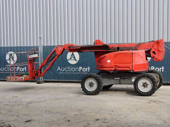 2011-atn-zebra-12-1392670-44173402