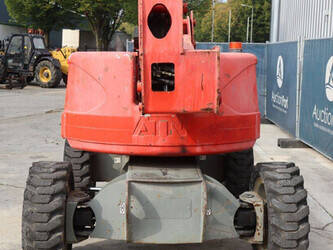 2011-atn-zebra-12-1392670-44173404