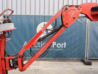 2011-atn-zebra-12-1392670-44173418