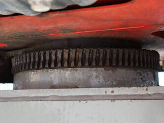 2011-atn-zebra-12-1392670-44173422