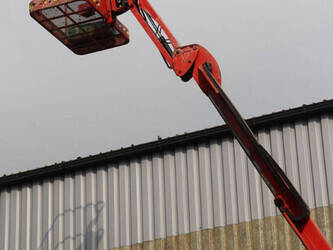 2011-atn-zebra-12-1392670-44173434