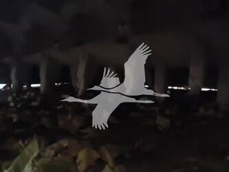 1998-caterpillar-rm-350b-44204619