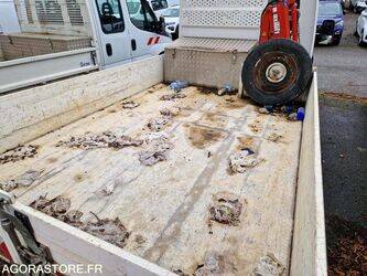 2021-iveco-35s14n-1393443-44234119