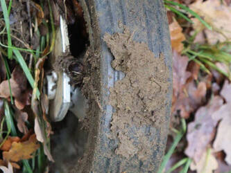 2022-syma-sdao2-at-44241857