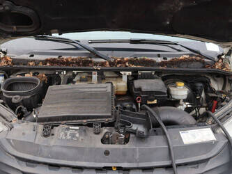 2017-veldhuizen-p46-1-1394241-44286251