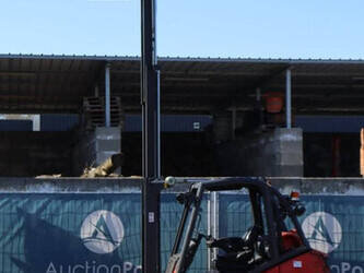 2018-linde-h25t-02-1394330-44288249