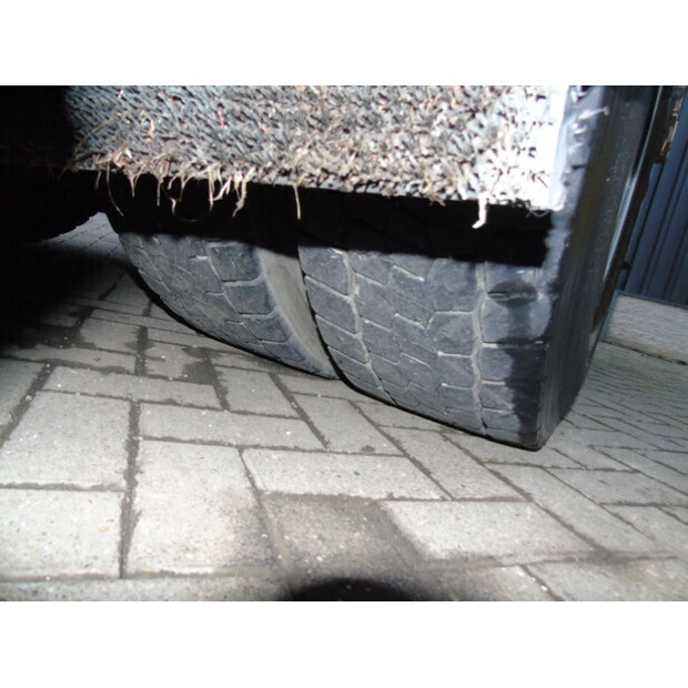 2017 Scania R520-44290961