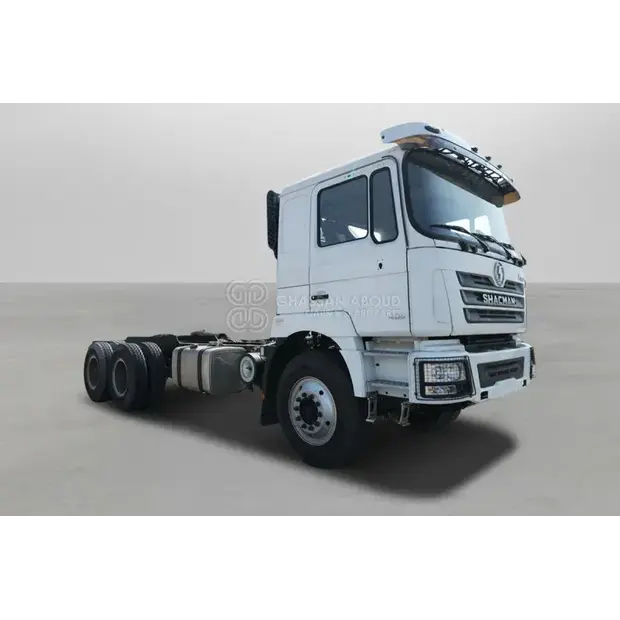 2025 SHACMAN F3000-44313831